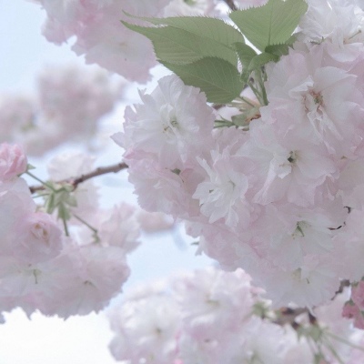 兽设校园场景设计福瑞交流群